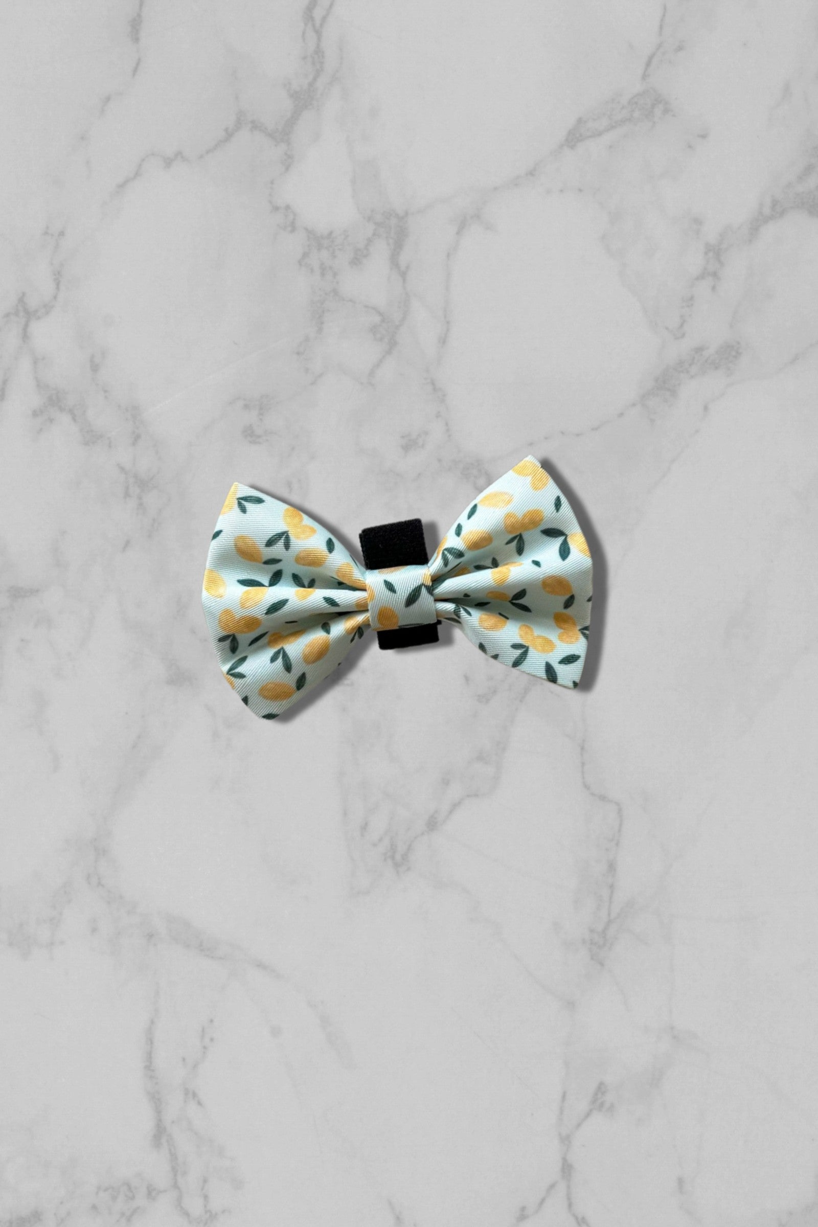 Blue dog bow tie with lemon pattern on marble tile