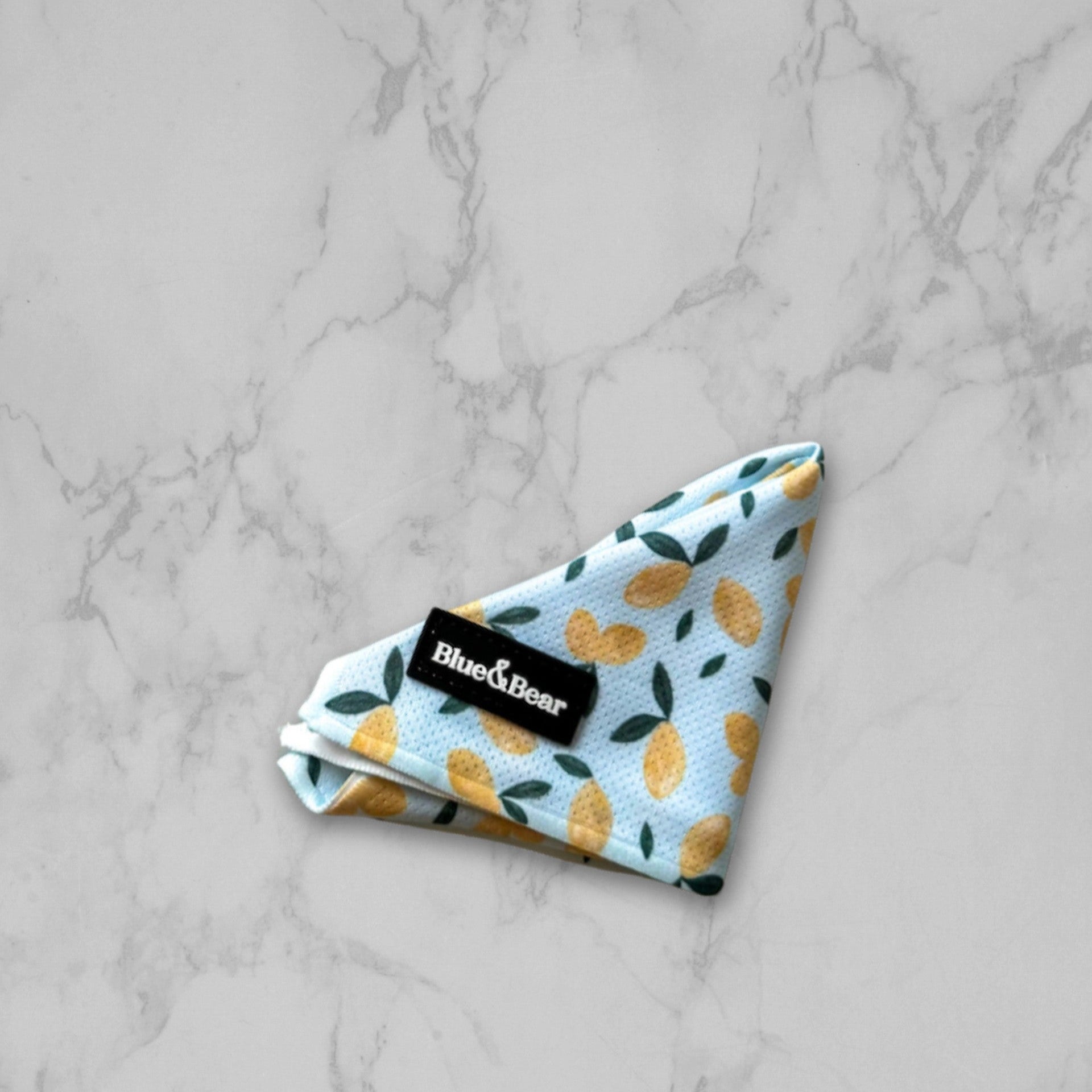 Blue dog bandana on a marble tile