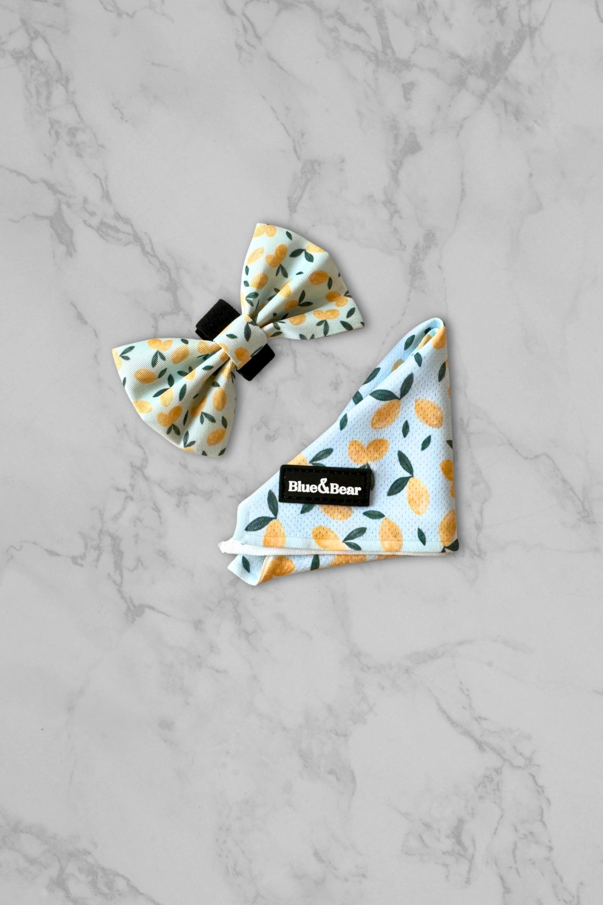 Blue dog bandana and matching bow tie on a marble tile