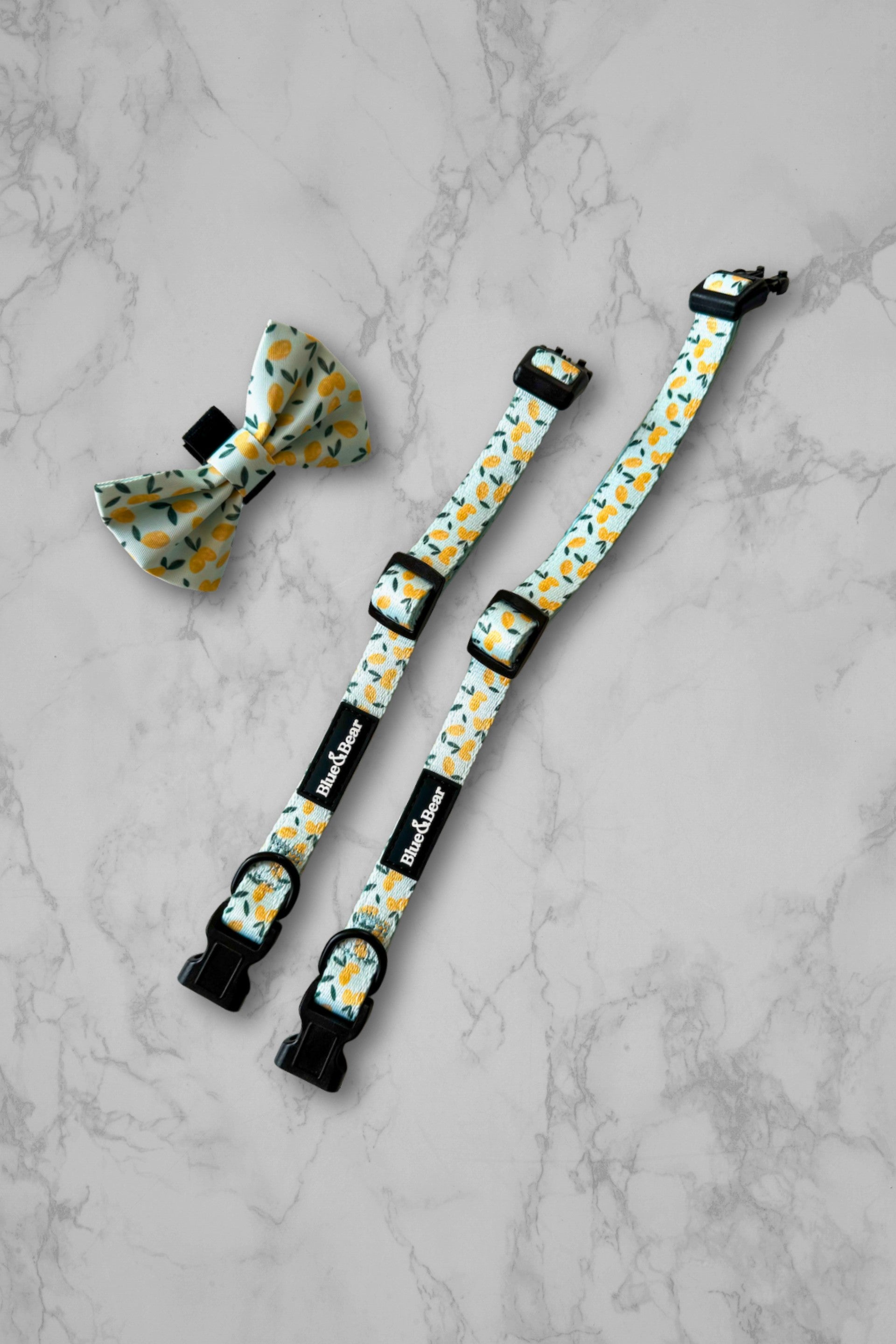 Blue dog collars and bow tie with lemon pattern