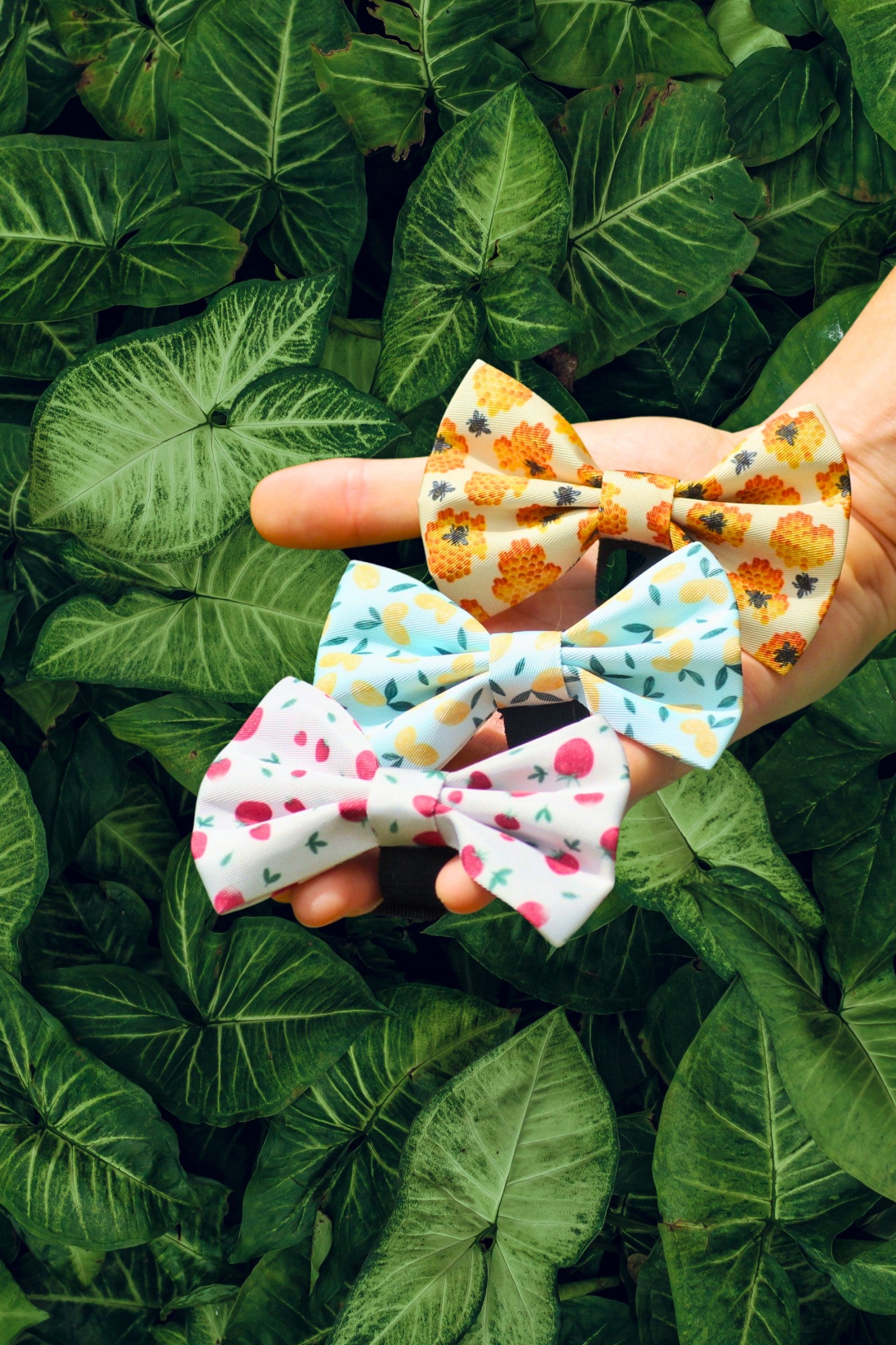 Blue, pink, and yellow dog bow ties on a green background