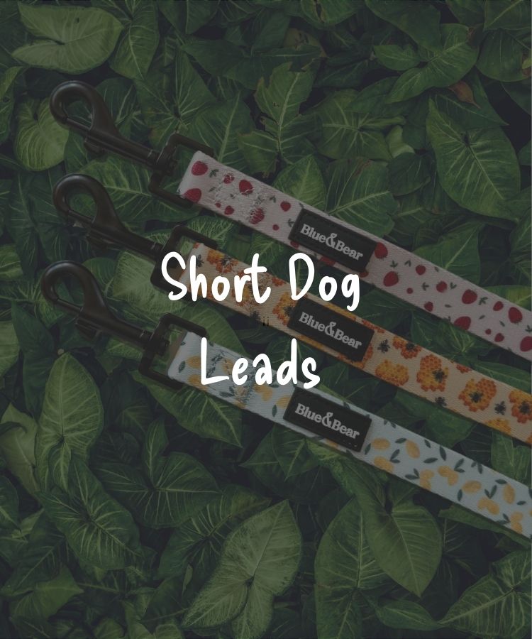 Short Dog Leads