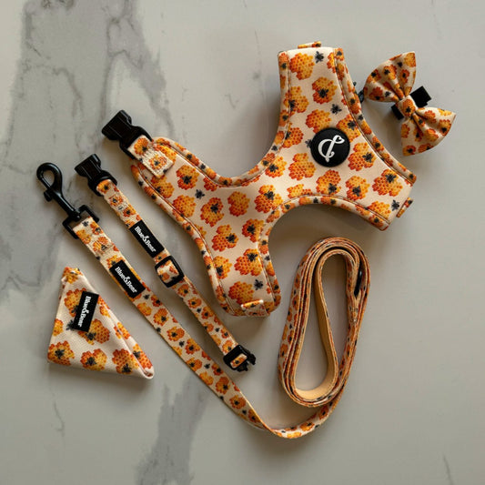 Yellow honey bumble bee dog accessories collection