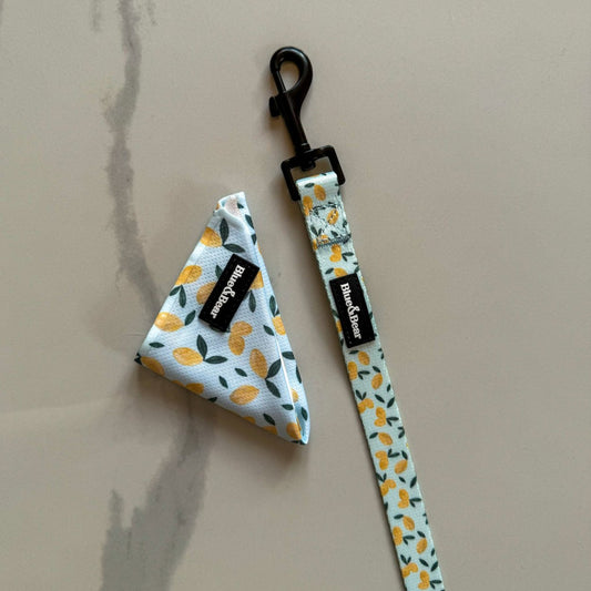 Blue dog bandana with lemon pattern with blue dog leash on marble tile