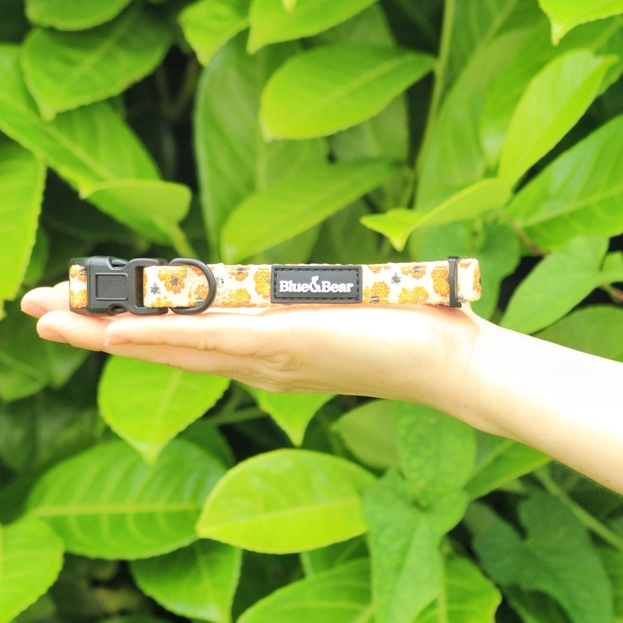 Yellow dog collar with honey bee pattern