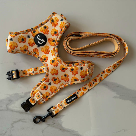 Honey Buzz Yellow Dog Collar, Lead, and Harness Bundle