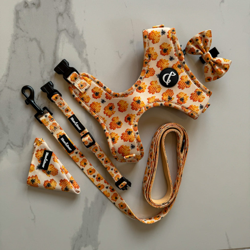 Yellow Dog Accessories Collection | Honey Bee Buzz