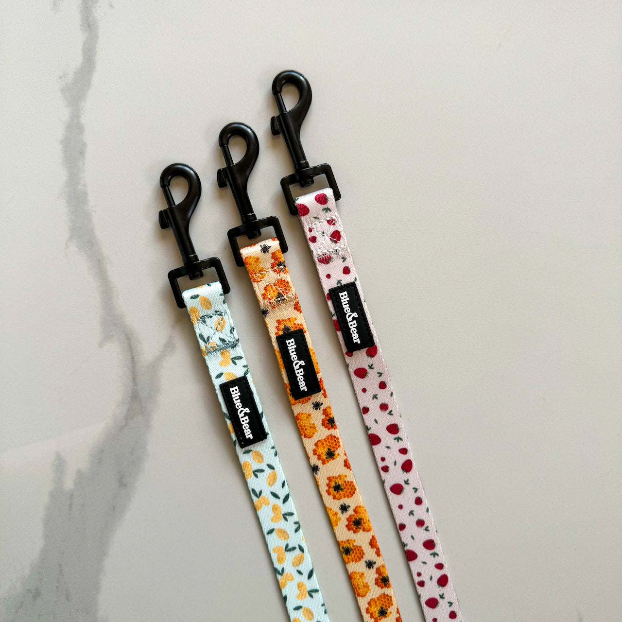 Short Dog Leads