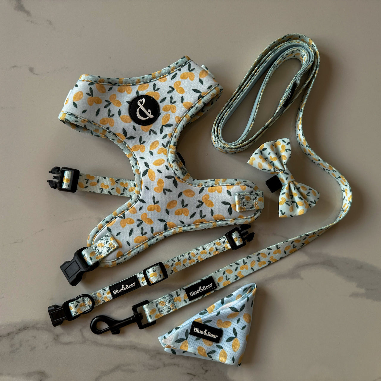 Citrus Skies Blue Dog Accessories