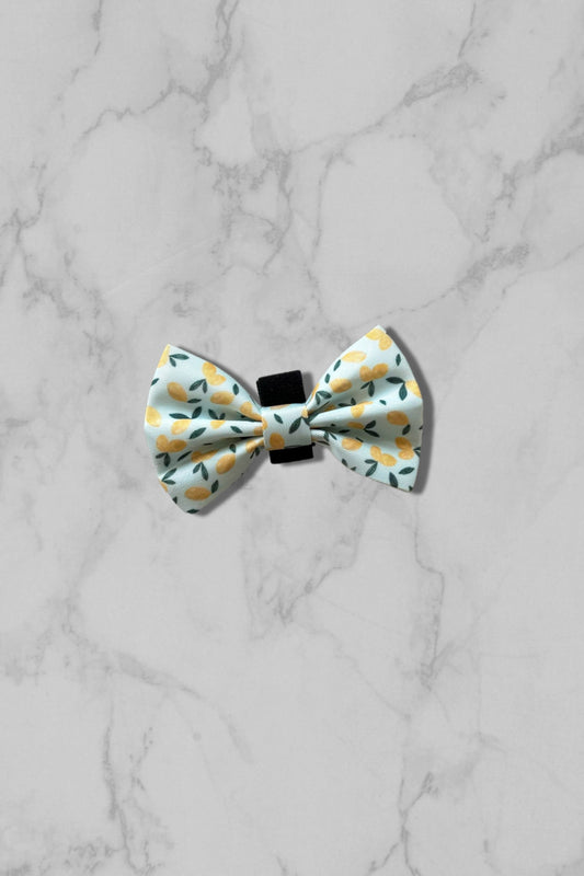 Blue dog bow tie with lemon pattern on marble tile 