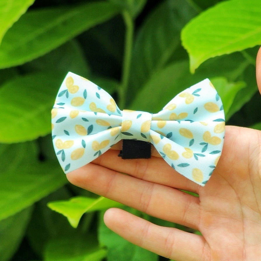 Blue dog bow tie with lemon pattern