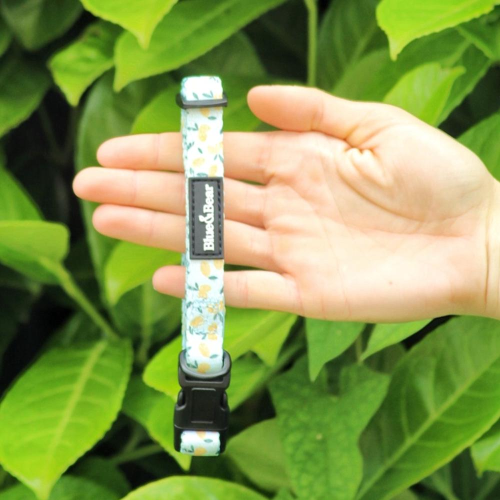 Blue dog collar with lemon pattern on a green background