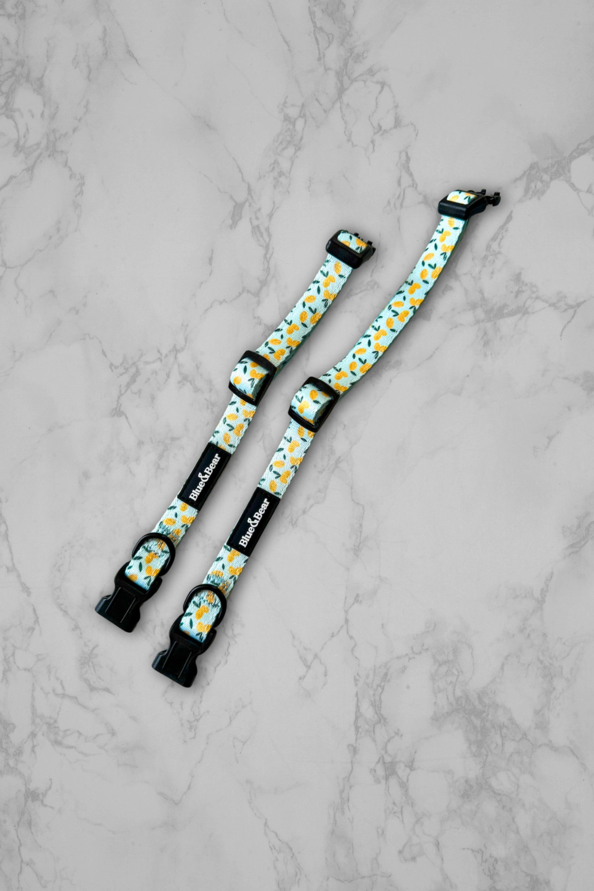 Blue dog collars with lemon pattern on marble tilesblue-dog-collars-with-lemon-pattern-1