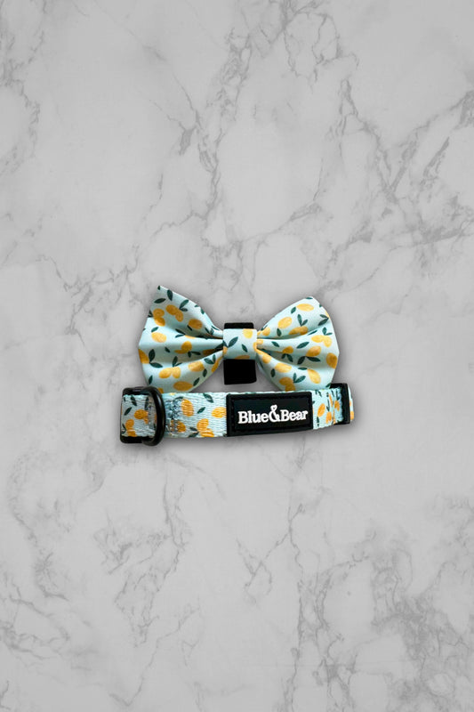 Blue dog collar and bow tie with lemon pattern on marble tiles