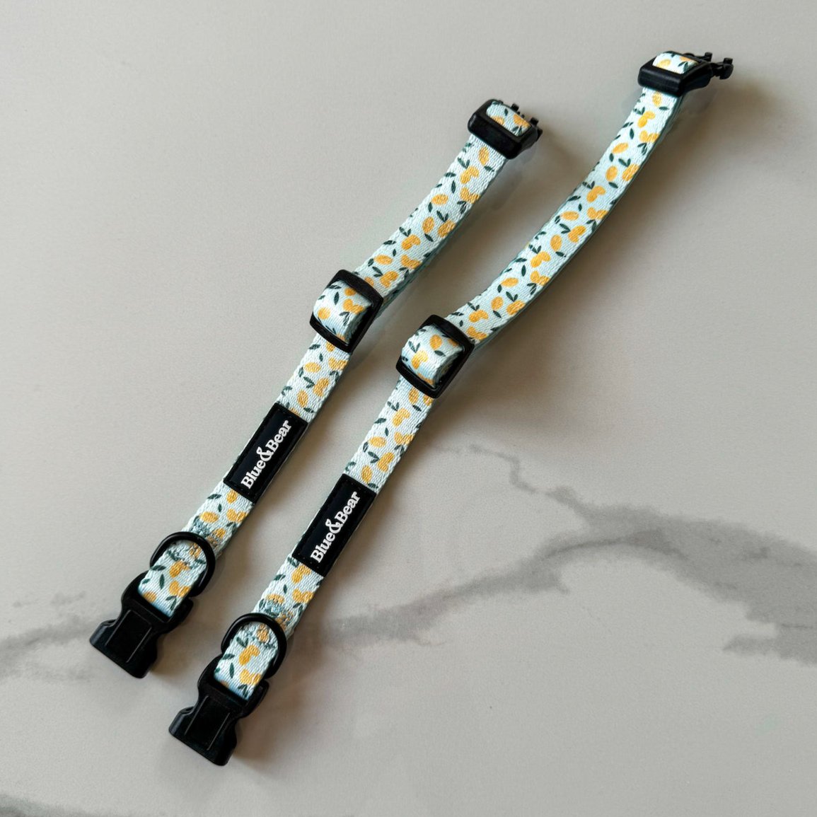 Blue dog collars with lemon pattern on marble tiles