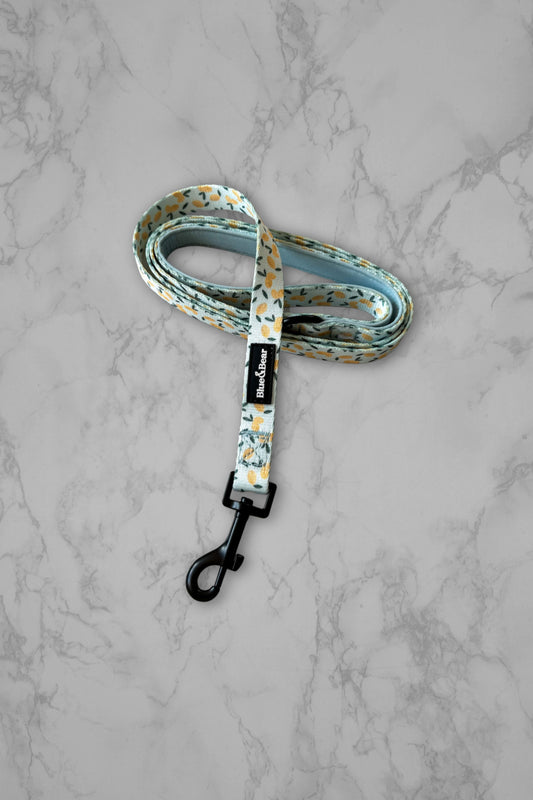 Blue dog lead with lemon pattern on a marble tile