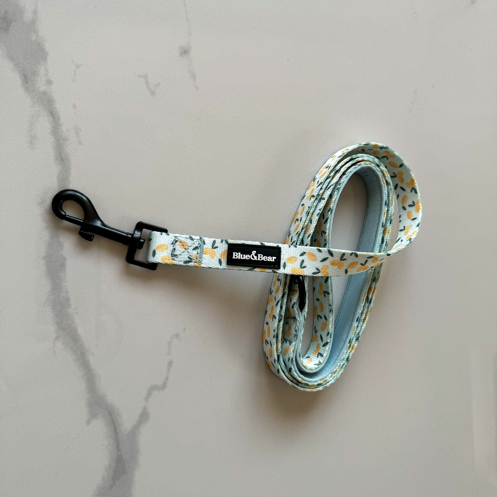 blue dog collar with lemon pattern