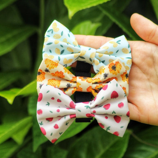 Dog Bow Tie Bundle