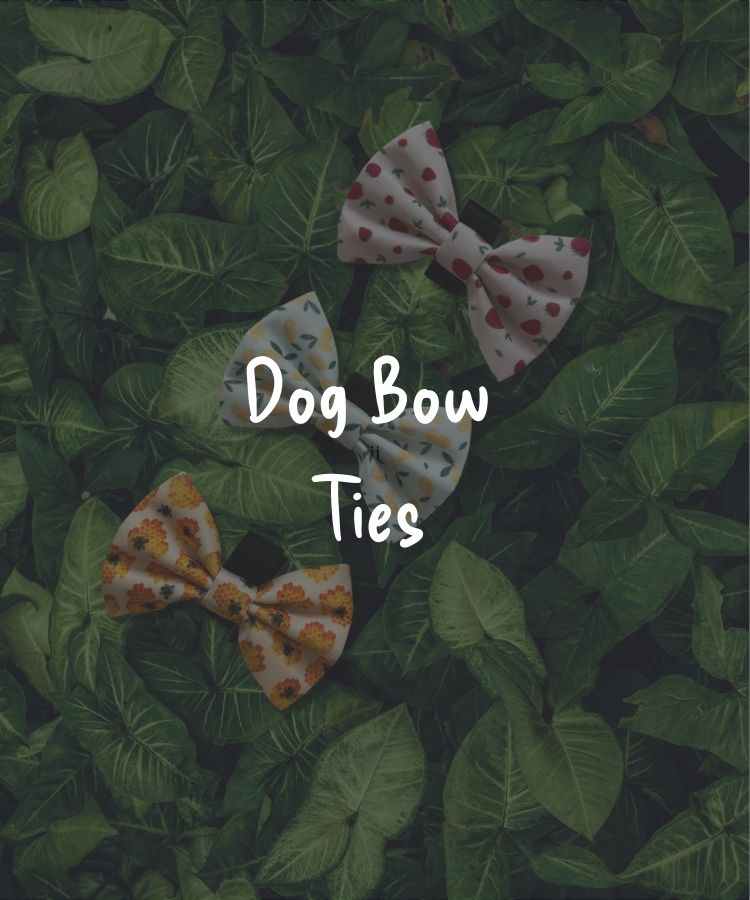 Dog Bow Ties