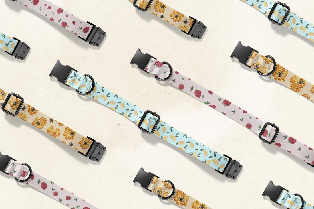 Blue & Bear Dog Collars in repeating pattern with summer fruits