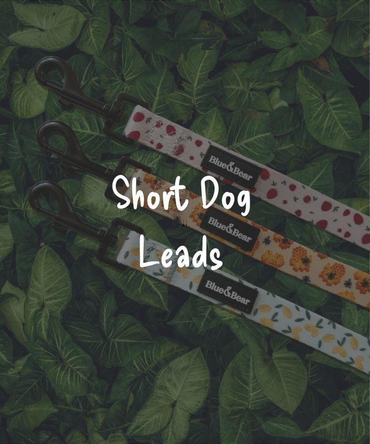 Short Dog Leads and Leashes