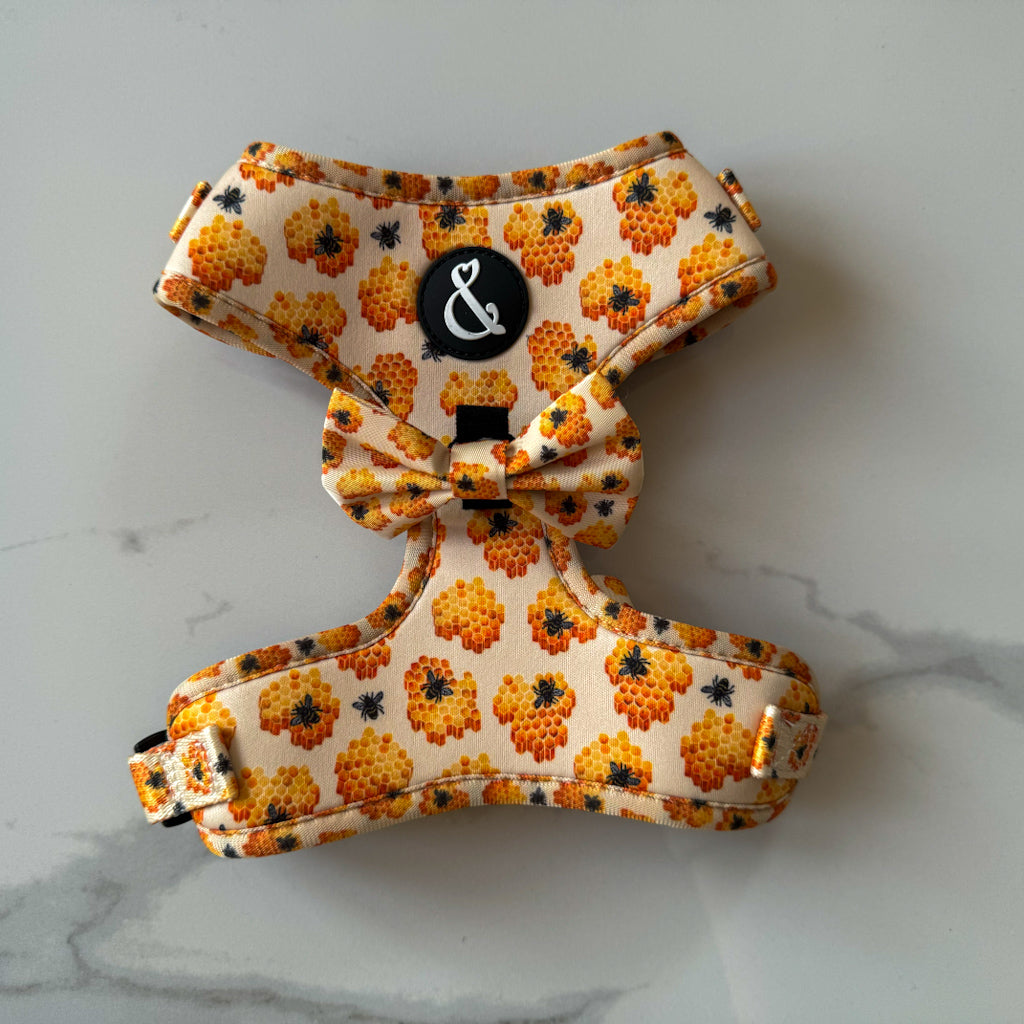 Honey bee pattern dog harness with yellow dog bow tie