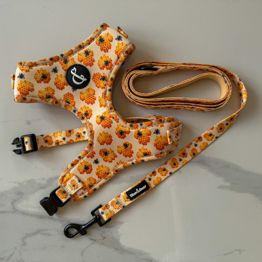 Honey bee dog harness with matching yellow honey bee lead/leash on marble background