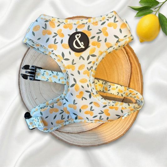 Citrus Skies Blue Adjustable Dog Harness with Lemons