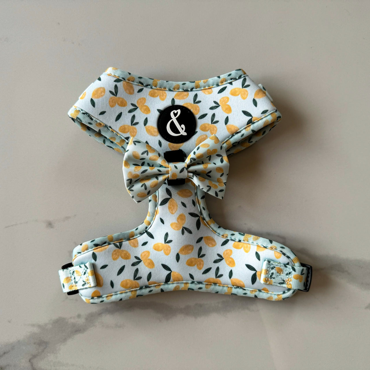 Blue dog harness with lemon pattern and matching dog bow tie