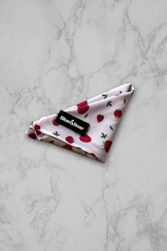 Pink dog bandana on a marble tile