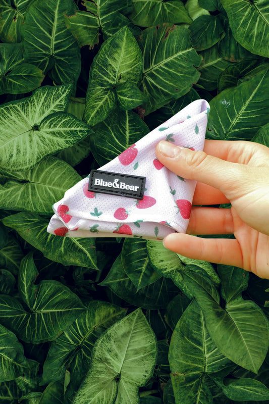 Pink dog bandana in front of green background