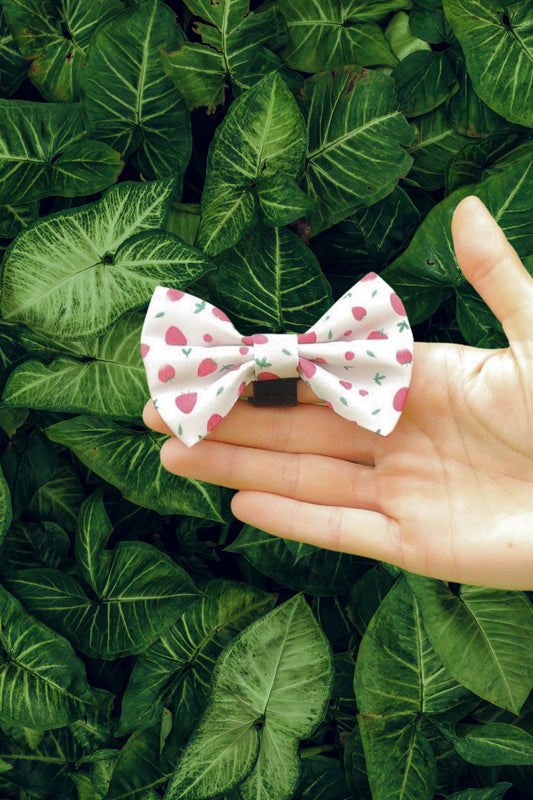 Pink bow tie with strawberry pattern on green backdrop