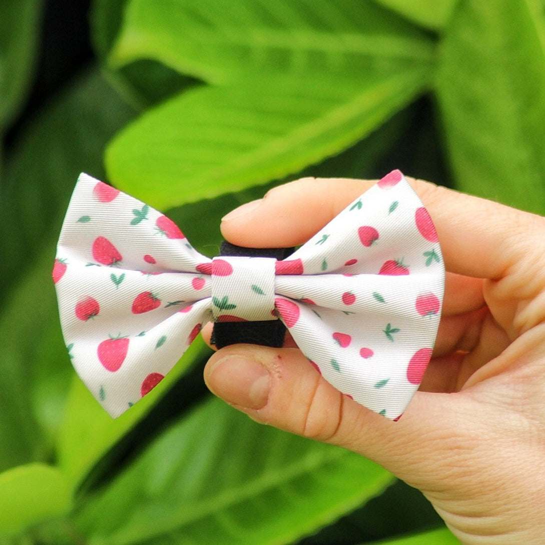 Pink dog bow tie with strawberry pattern