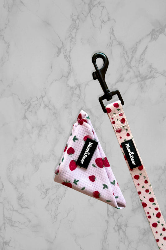 Pink dog lead with strawberry pattern with bandana on marble tile