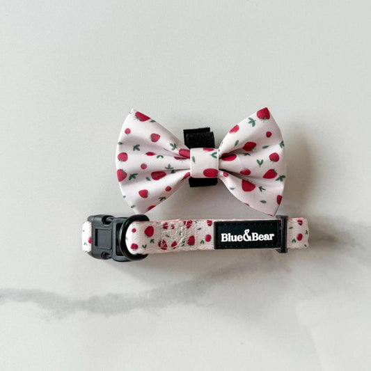 Pink strawberry dog collar and pink dog bow tie on marble tile