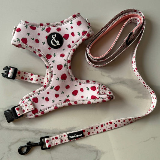 Pink strawberry dog harness and pink strawberry dog leash