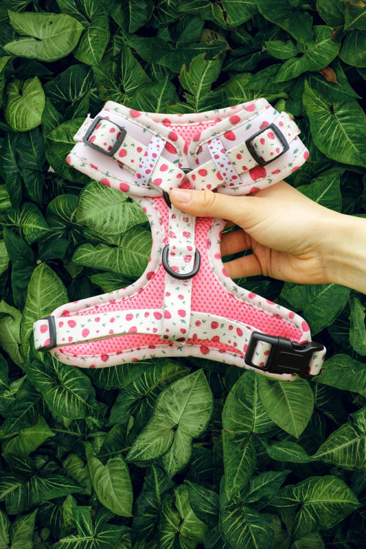 Reverse of Strawberry Pink Dog Harness in front of leaves