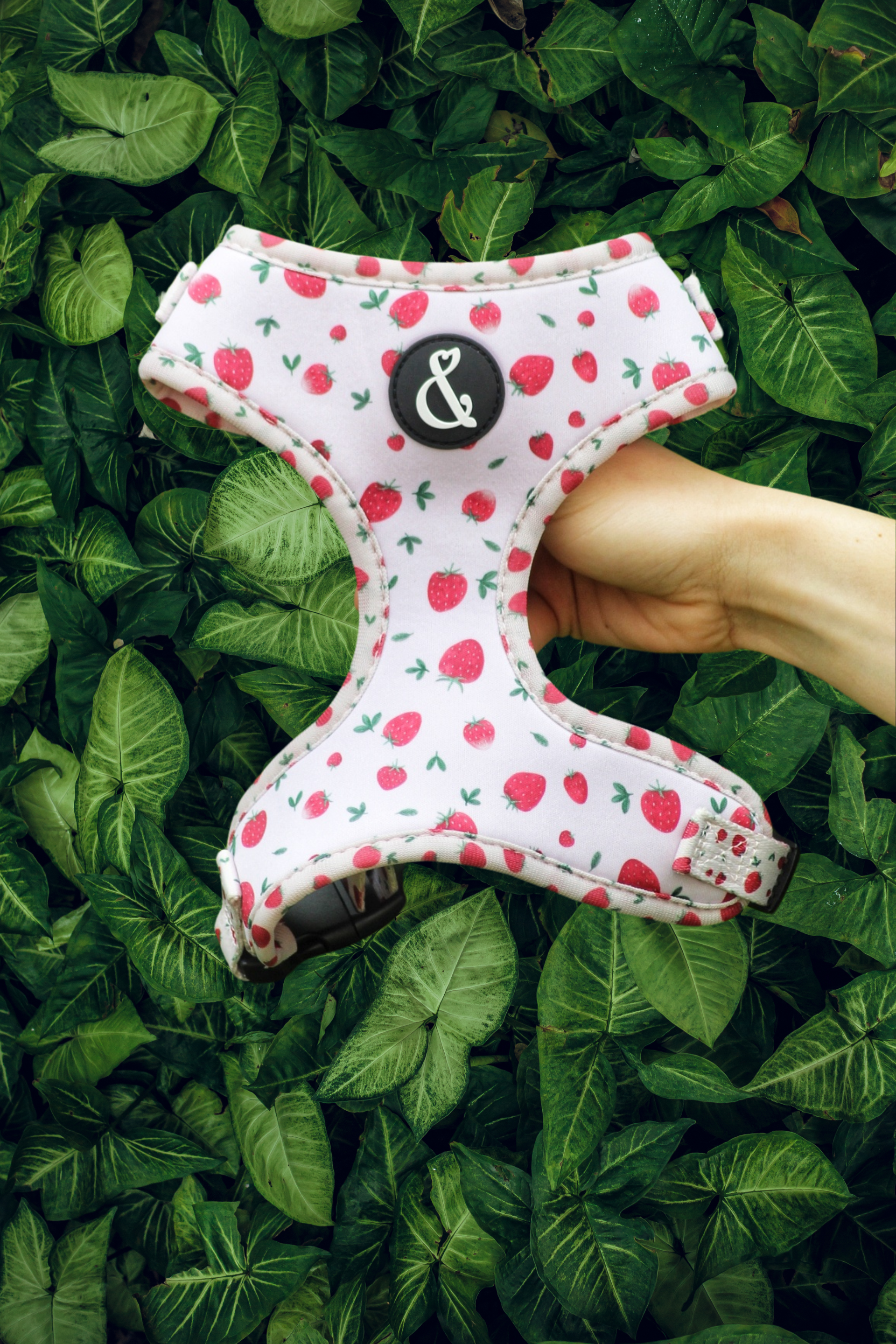 Pink strawberry dog harness on green background