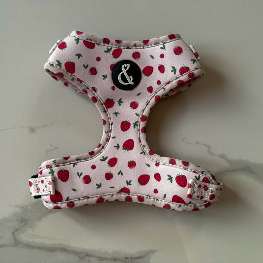 Strawberry Paws - Pink Dog Harness