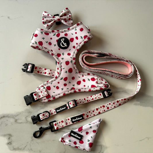 Strawberry Paws - Pink Dog Harness