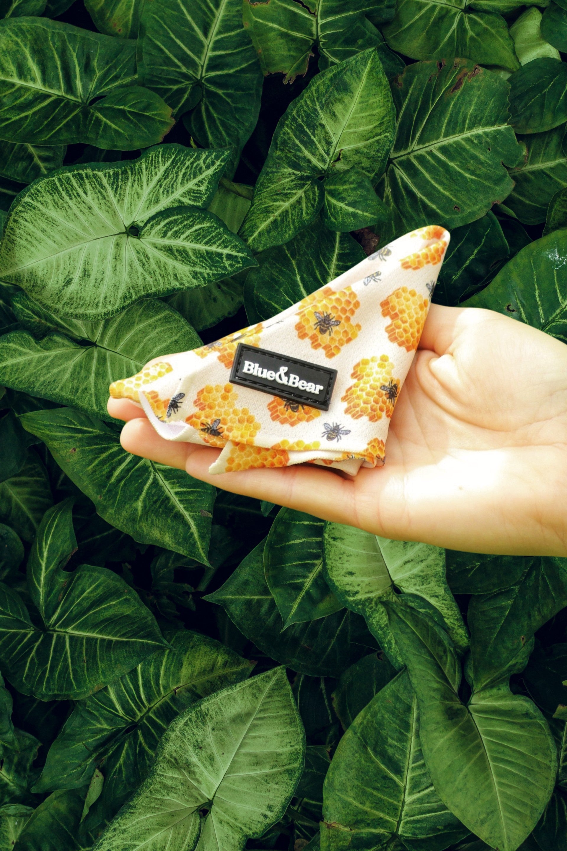 Yellow dog bandana with honey bee pattern on green background 