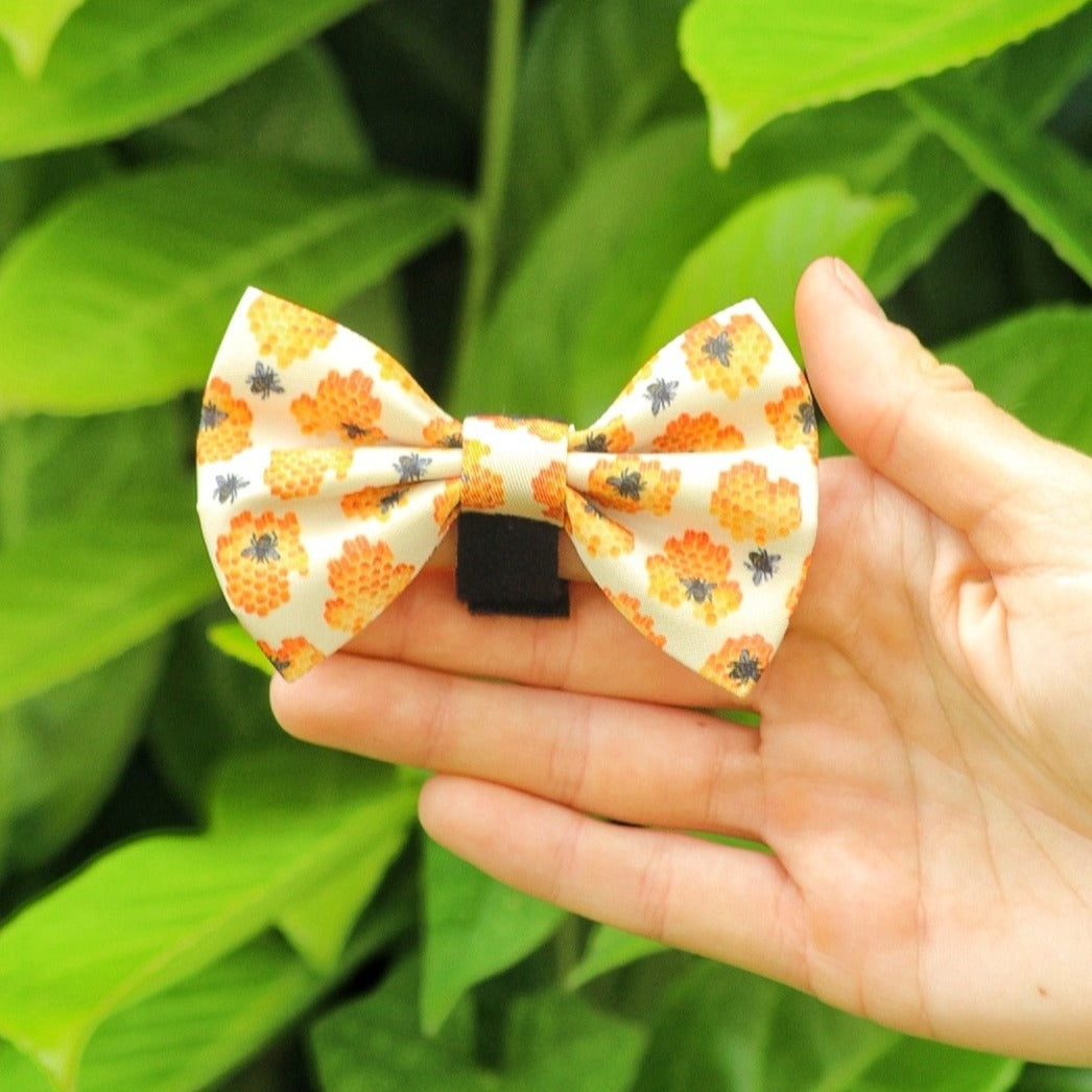 Yellow dog bow tie with honey bee pattern