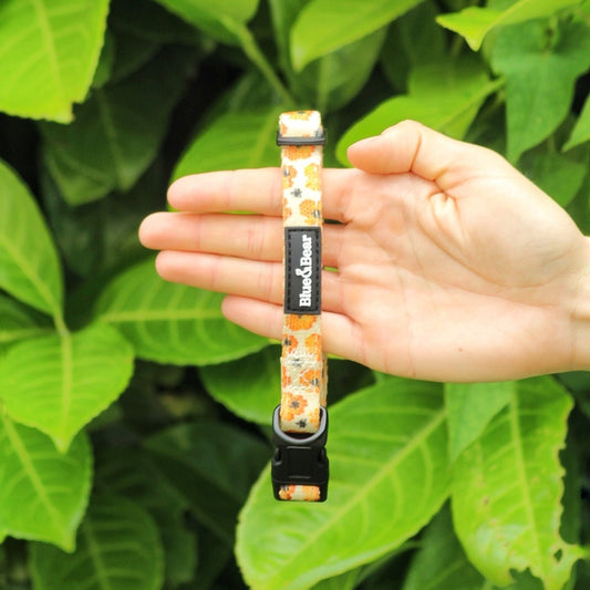 Yellow honey bee dog collar held up on green leafy background