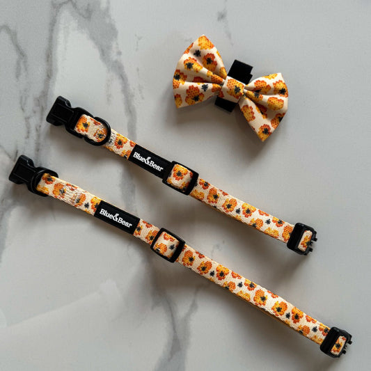 Two Yellow honey bee dog collars with matching yellow bow tie