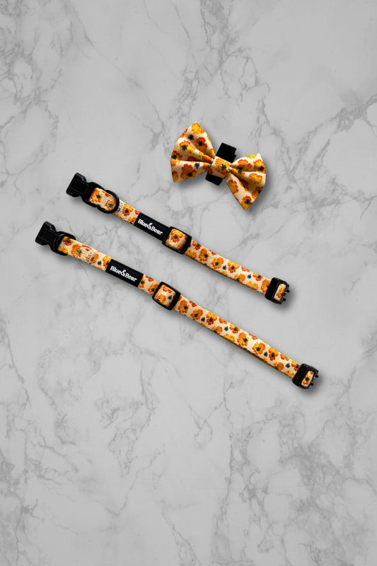 Two honey bee pattern yellow dog collars and bow tie on a marble background